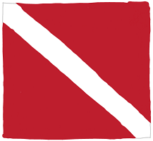 Diver Down